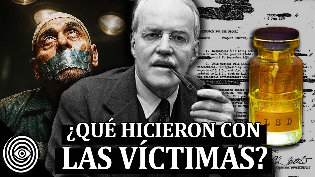 video-section-banner-image